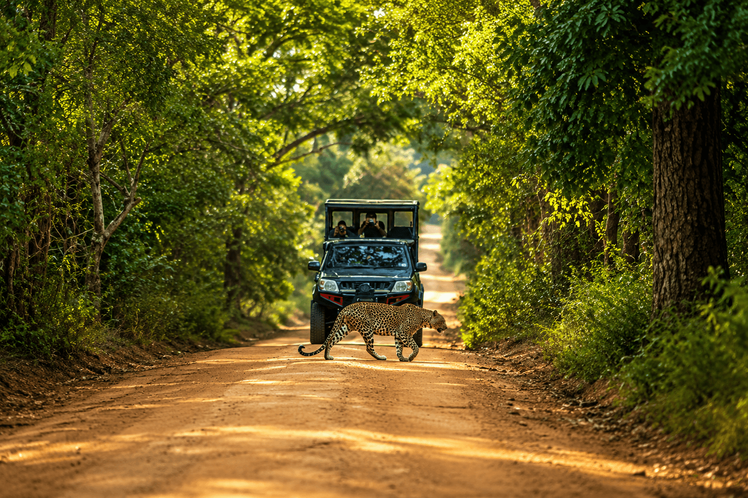 Yala National Park