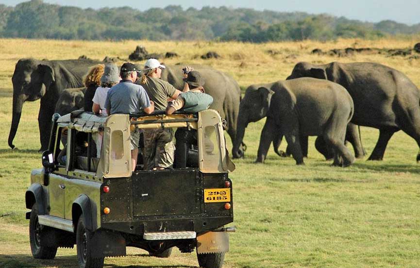 Close to Yala